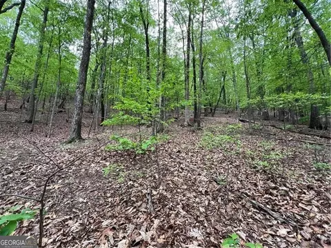 387 Windflower Dr, Big Canoe, GA 30143