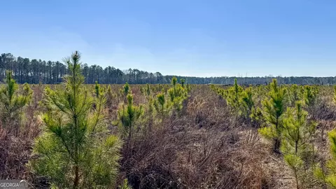 0 Highway 301 #14, Statesboro, GA 30461