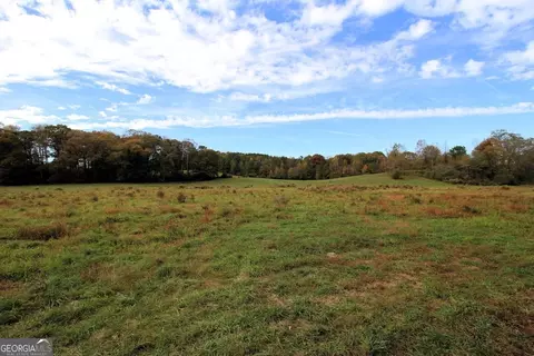 1254 Ayers Rd, Bowdon, GA 30108 photo 10
