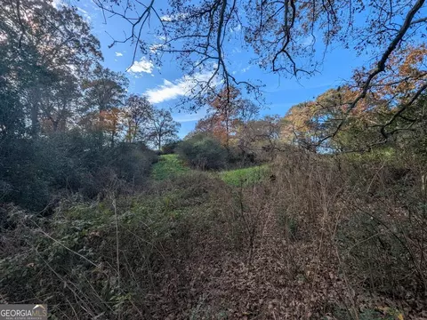1254 Ayers Rd, Bowdon, GA 30108 photo 29