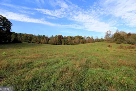 1254 Ayers Rd, Bowdon, GA 30108 photo 9