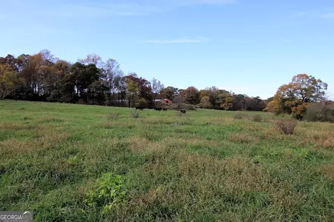 1254 Ayers Rd, Bowdon, GA 30108 photo 5