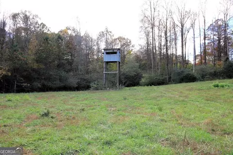 1254 Ayers Rd, Bowdon, GA 30108 photo 18