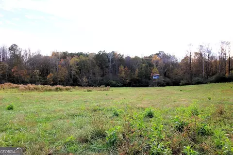 1254 Ayers Rd, Bowdon, GA 30108 photo 17