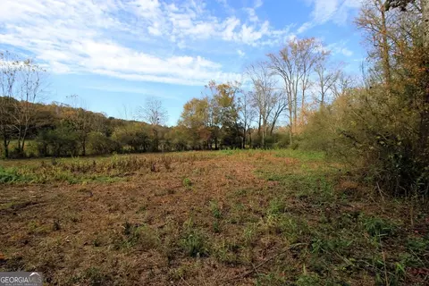 1254 Ayers Rd, Bowdon, GA 30108 photo 8