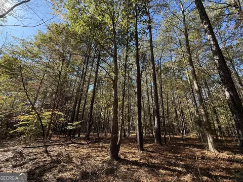 2 Lem Edwards Rd, Colbert, GA 30628 photo 29