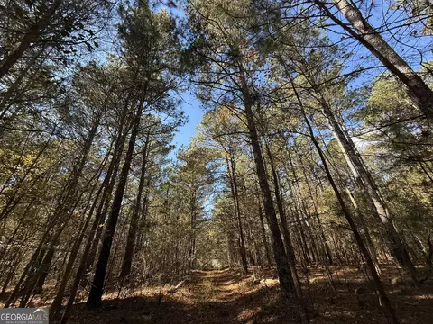2 Lem Edwards Rd, Colbert, GA 30628 photo 38