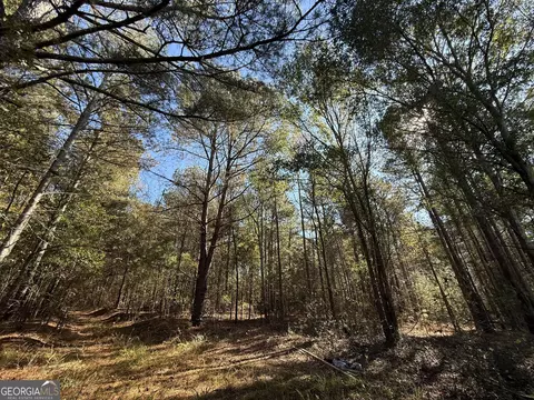 2 Lem Edwards Rd, Colbert, GA 30628 photo 49