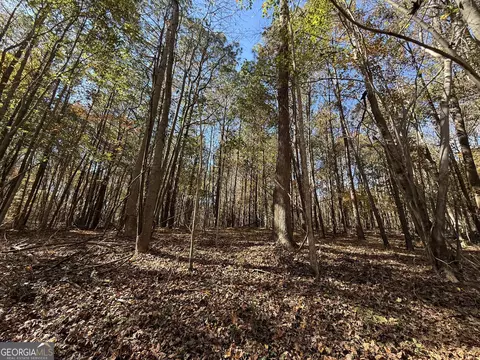 2 Lem Edwards Rd, Colbert, GA 30628 photo 9