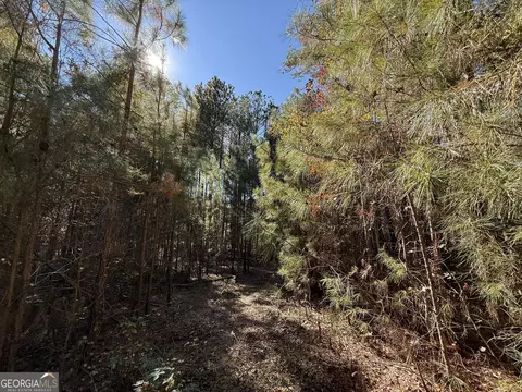 2 Lem Edwards Rd, Colbert, GA 30628 photo 32