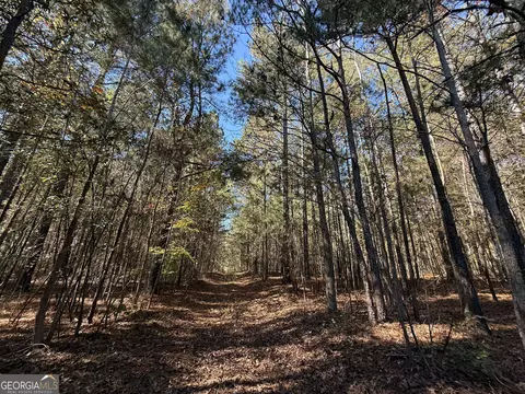 2 Lem Edwards Rd, Colbert, GA 30628 photo 33