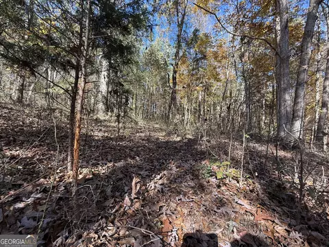 2 Lem Edwards Rd, Colbert, GA 30628 photo 23