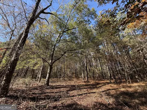 2 Lem Edwards Rd, Colbert, GA 30628 photo 27
