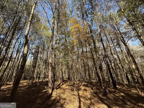 2 Lem Edwards Rd, Colbert, GA 30628 photo 14
