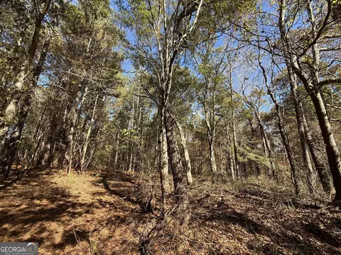 2 Lem Edwards Rd, Colbert, GA 30628 photo 31