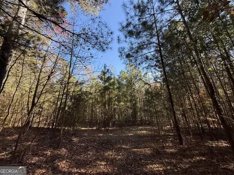 2 Lem Edwards Rd, Colbert, GA 30628 photo 37
