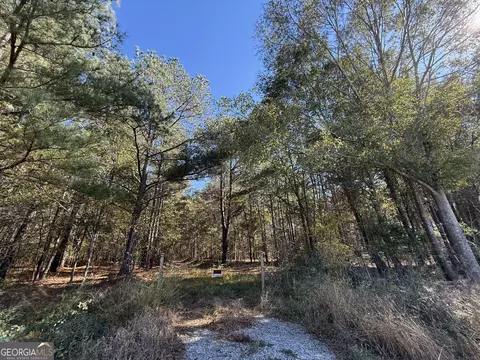 2 Lem Edwards Rd, Colbert, GA 30628 photo 50
