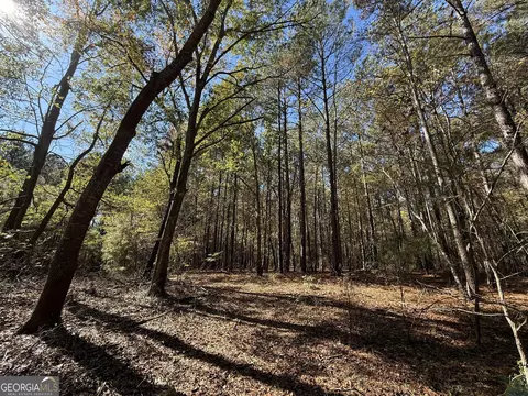 2 Lem Edwards Rd, Colbert, GA 30628 photo 28