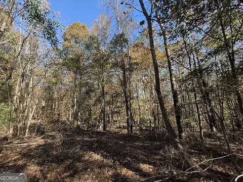 2 Lem Edwards Rd, Colbert, GA 30628 photo 21