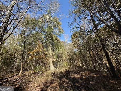 2 Lem Edwards Rd, Colbert, GA 30628 photo 20