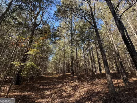 2 Lem Edwards Rd, Colbert, GA 30628 photo 36