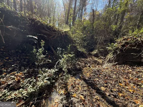 2 Lem Edwards Rd, Colbert, GA 30628 photo 5