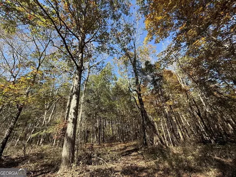 2 Lem Edwards Rd, Colbert, GA 30628 photo 25
