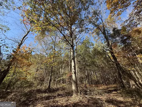 2 Lem Edwards Rd, Colbert, GA 30628 photo 24