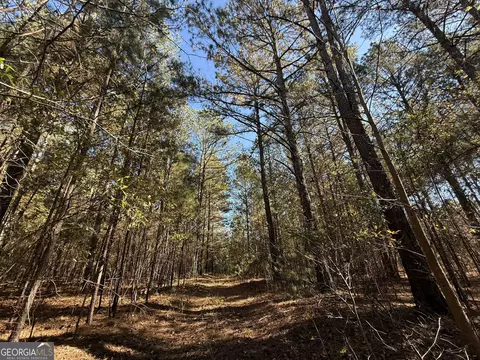 2 Lem Edwards Rd, Colbert, GA 30628 photo 43