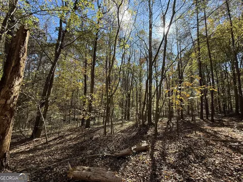 2 Lem Edwards Rd, Colbert, GA 30628 photo 10