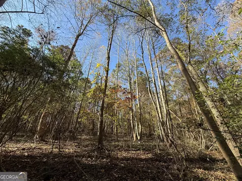 2 Lem Edwards Rd, Colbert, GA 30628 photo 6