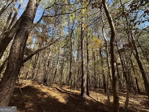 2 Lem Edwards Rd, Colbert, GA 30628 photo 15