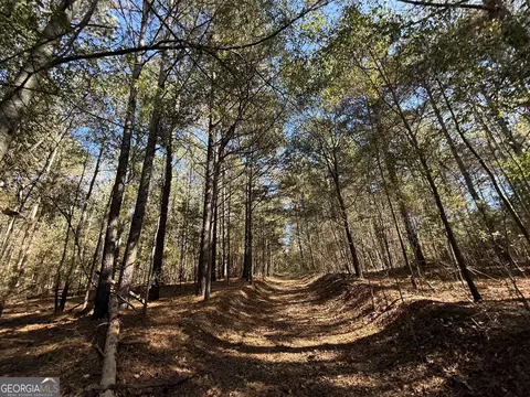 2 Lem Edwards Rd, Colbert, GA 30628 photo 47