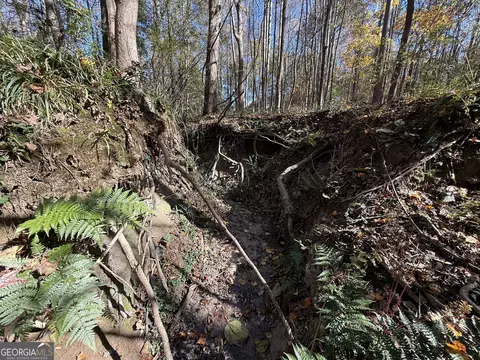 2 Lem Edwards Rd, Colbert, GA 30628 photo 3