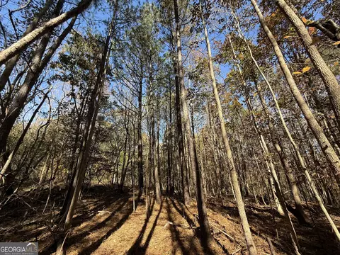 2 Lem Edwards Rd, Colbert, GA 30628 photo 16