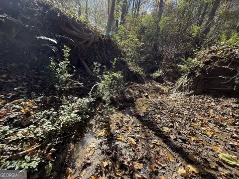 2 Lem Edwards Rd, Colbert, GA 30628 photo 4
