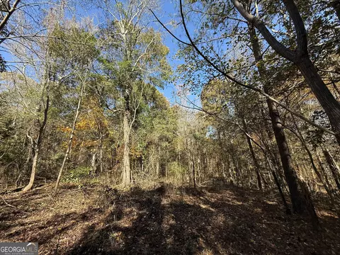 2 Lem Edwards Rd, Colbert, GA 30628 photo 18