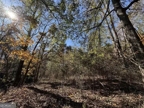2 Lem Edwards Rd, Colbert, GA 30628 photo 22