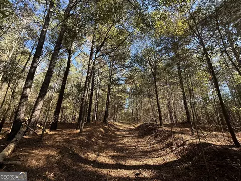 2 Lem Edwards Rd, Colbert, GA 30628 photo 46
