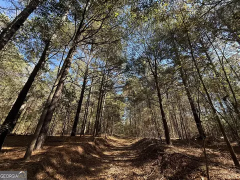 2 Lem Edwards Rd, Colbert, GA 30628 photo 45