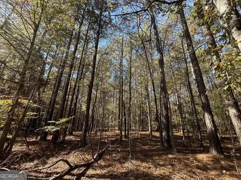 2 Lem Edwards Rd, Colbert, GA 30628 photo 30