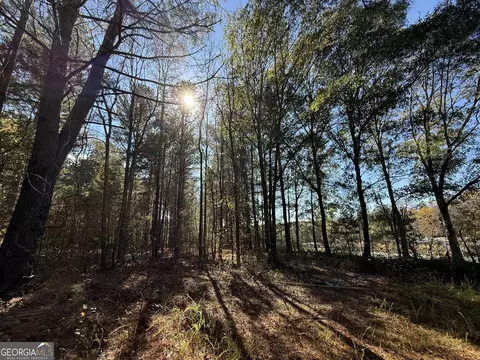 2 Lem Edwards Rd, Colbert, GA 30628 photo 48