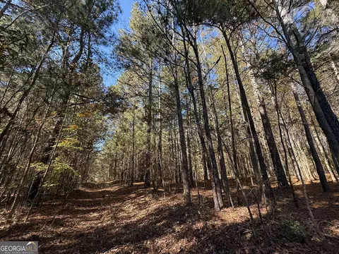 2 Lem Edwards Rd, Colbert, GA 30628 photo 34