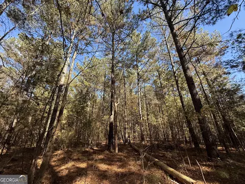 2 Lem Edwards Rd, Colbert, GA 30628 photo 40