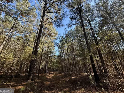 2 Lem Edwards Rd, Colbert, GA 30628 photo 39