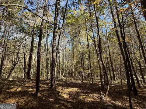 2 Lem Edwards Rd, Colbert, GA 30628 photo 13