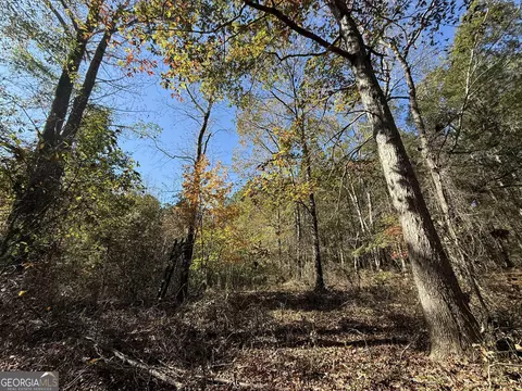 2 Lem Edwards Rd, Colbert, GA 30628 photo 26