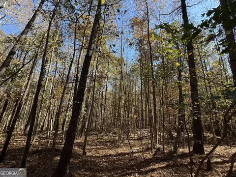 2 Lem Edwards Rd, Colbert, GA 30628 photo 17