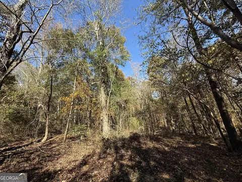 2 Lem Edwards Rd, Colbert, GA 30628 photo 19