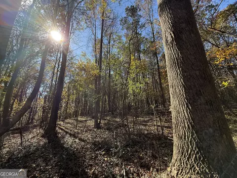 2 Lem Edwards Rd, Colbert, GA 30628 photo 8